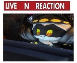 Live N reaction Meme Template