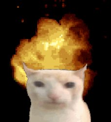 exploding cat Meme Template