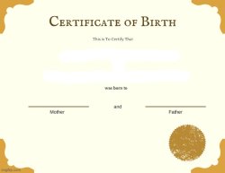 certificate of birth Meme Template