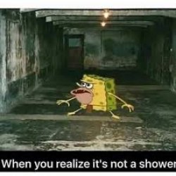 Shower Meme Template