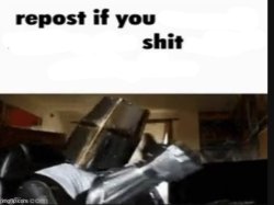 Repost if you shit Meme Template