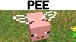 Pee Meme Template