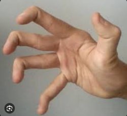 PVZ real life hand Meme Template