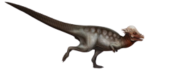 Pachycephalosaurus(Saurian) Meme Template