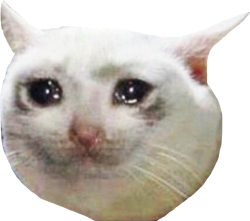 Sad cat Meme Template