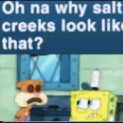 oh na why salt creeks look like that Meme Template