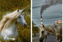 Unicorn smoke Meme Template