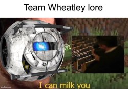 Team W******y lore v3 Meme Template