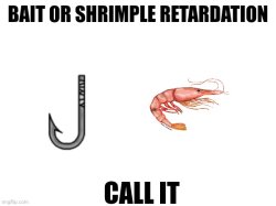 Baitbor shrimple retardation Meme Template