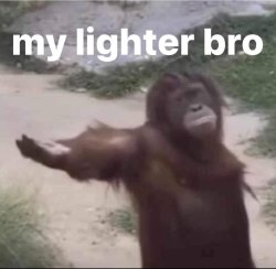 my lighter bro monkey Meme Template