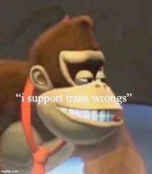 I support trans wrongs Meme Template
