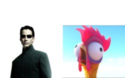 you are Neo and Heihei Meme Template