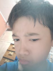 ANIS Meme Template