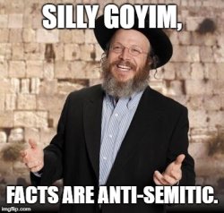 silly goyim facts are anti-semitic Meme Template