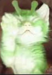 Gleeby Meme Template