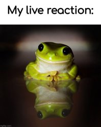live frog reaction Meme Template