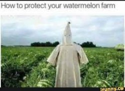 Watermelon farm meme Meme Template