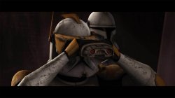 clone commander cody Meme Template