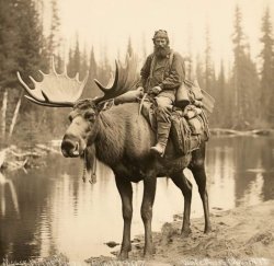 Man riding moose Meme Template