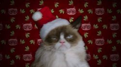 Grumpy Christmas Meme Template