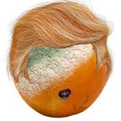 Rotten orange Trump Meme Template