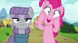 Pinkie Pie and Maud Pie (MLP) Meme Template