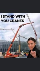 Aoc Meme Template