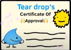 Teardrop approval Meme Template