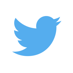 Twitter Bird Meme Template