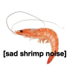 Sad shrimp noise Meme Template