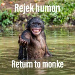 Reject humanity return to monke Meme Template