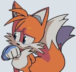 Tails The Fox Meme Template