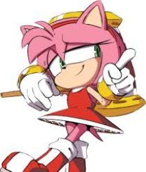 Amy Rose Meme Template