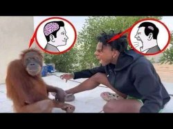 Monke man Meme Template