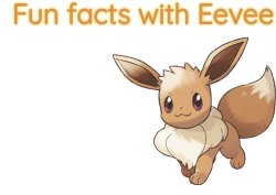 Fun facts with Eevee Meme Template