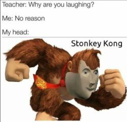 Stonkey Meme Template