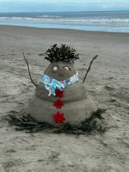 Sandy snowman 2023 Meme Template