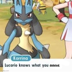 lucario knows what you deleted Meme Template
