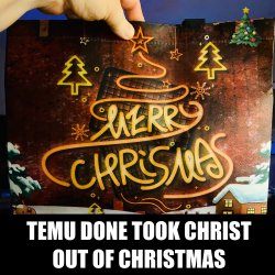 Temu Christmas Bag Meme Template