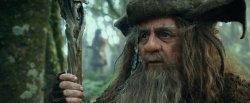 Radagast the Brown Meme Template