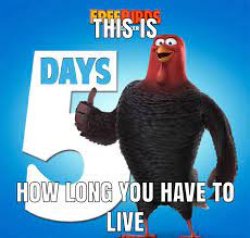 this is how long you have to live Meme Template