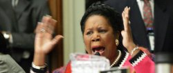 Sheila Jackson Lee Meme Template