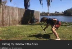 Hitting my shadow with a stick Meme Template