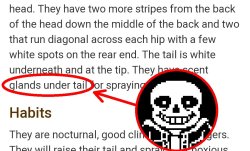 Sans Meme Template