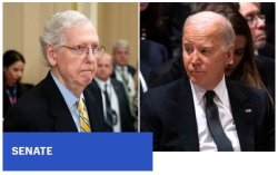 biden Meme Template