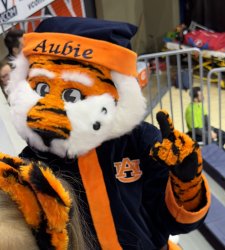 Aubie FU Meme Template