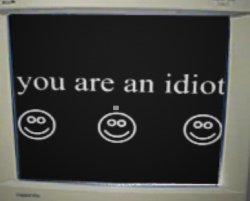 you are an idiot (:      (:      (: Meme Template