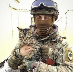 Ukrainian soldier with cat Meme Template