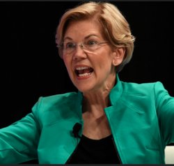 Liz Warren Meme Template