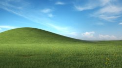 Grassy hills of chaos Meme Template